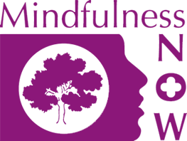 Mindfulness Now (UK College of Mindfulness Meditation) Trauma Informed Practitioner